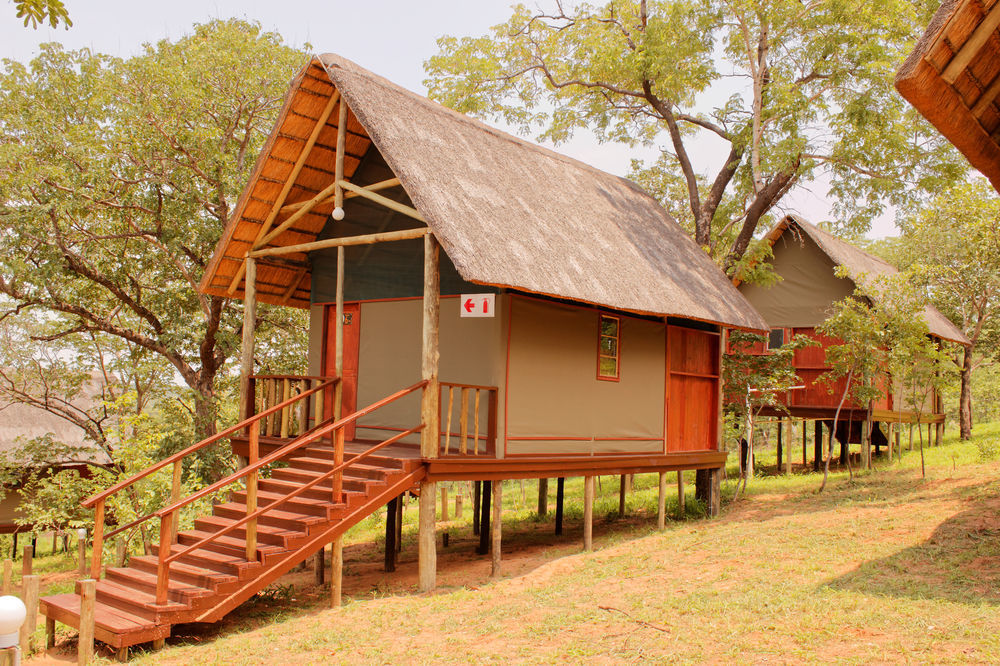 Lion Roars Lodge Lesoma Eksteriør bilde