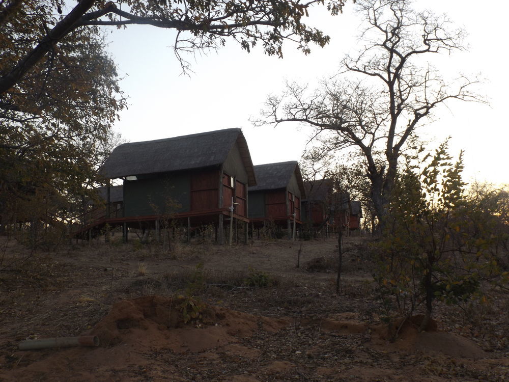 Lion Roars Lodge Lesoma Eksteriør bilde
