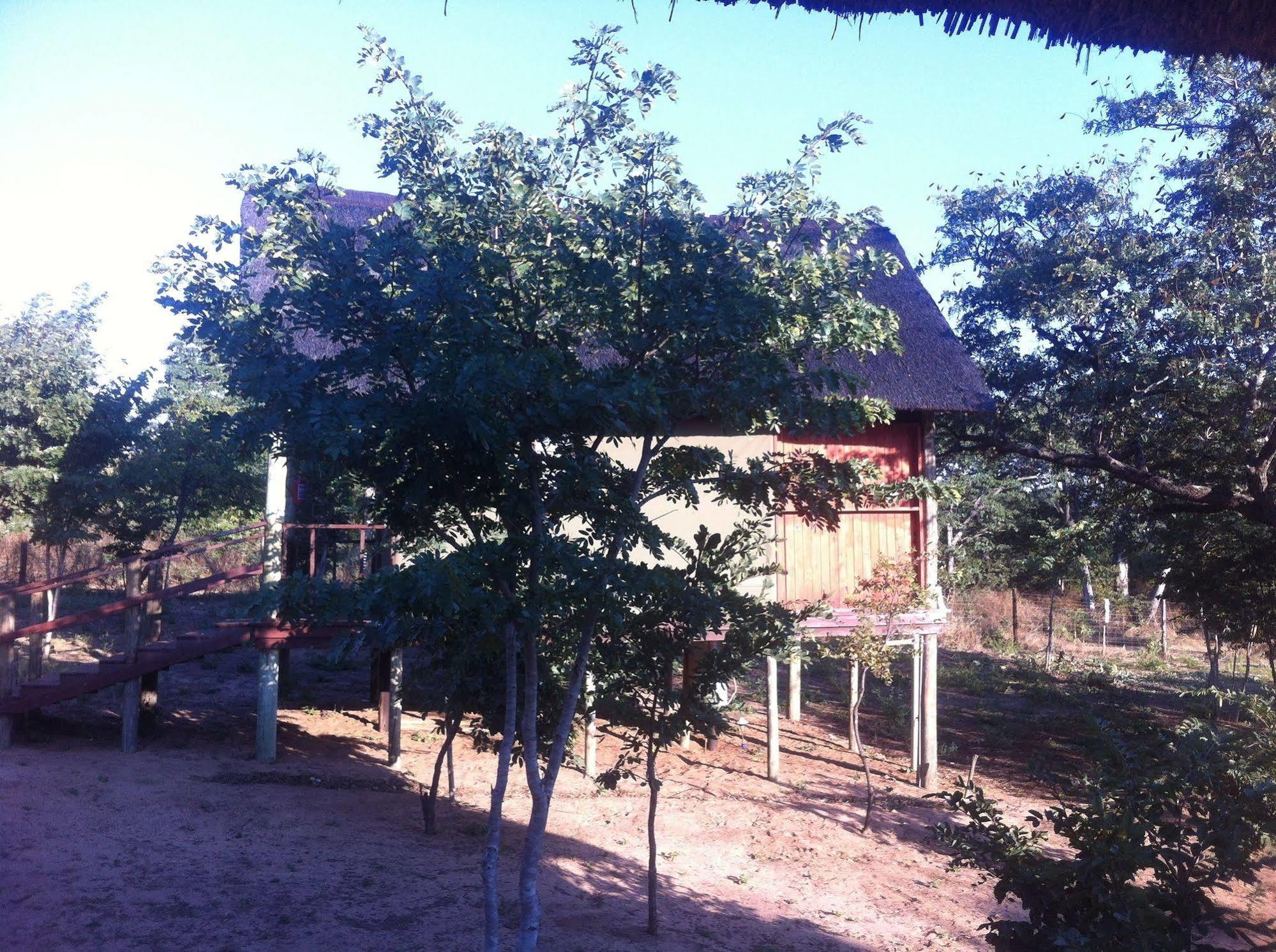 Lion Roars Lodge Lesoma Eksteriør bilde